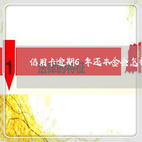 信用卡逾期6年还本金会怎样处理/2023091495908