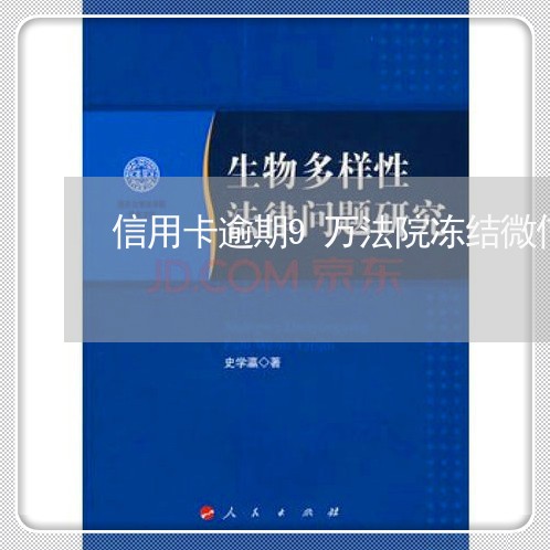 信用卡逾期9万法院冻结微信零钱/2023050662425