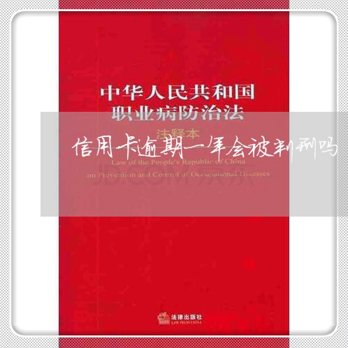 信用卡逾期一年会被判刑吗/2023060528583