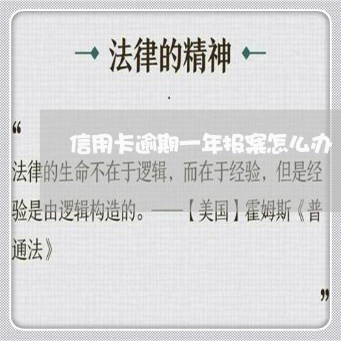 信用卡逾期一年报案怎么办/2023050427379