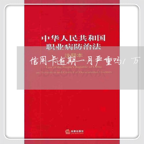 信用卡逾期一月严重吗1万/2023062903350