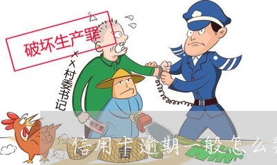 信用卡逾期一般怎么判决/2023121817068