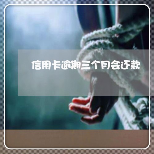 信用卡逾期三个月会还款/2023081205726