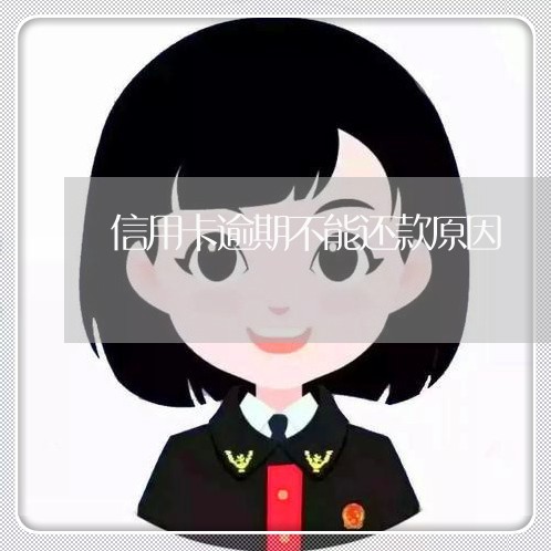 信用卡逾期不能还款原因/2023060207062