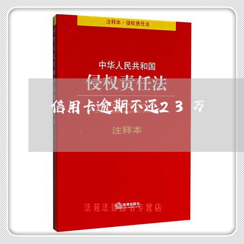 信用卡逾期不还23万/2023062149414