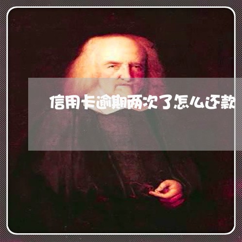 信用卡逾期两次了怎么还款/2023051226949