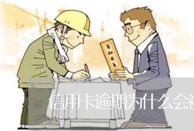 信用卡逾期为什么会被判刑/2023060560593