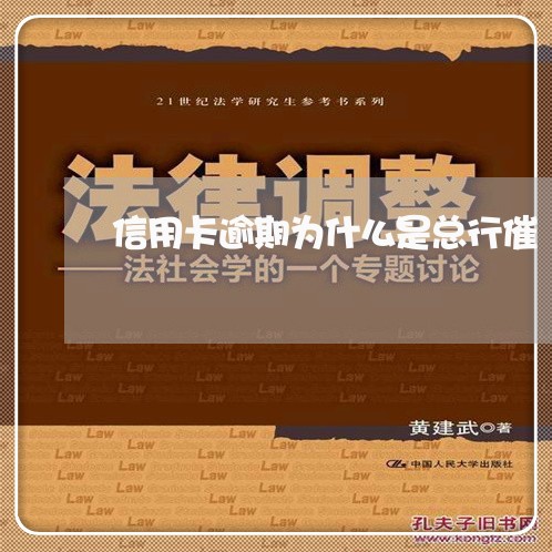 信用卡逾期为什么是总行催/2023050272584