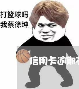 信用卡逾期买车后果怎么样/2023121821360