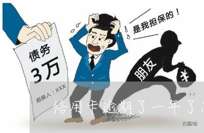 信用卡逾期了一年了怎么办/2023060530530