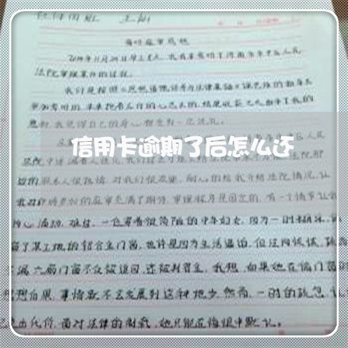 信用卡逾期了后怎么还/2023111603058