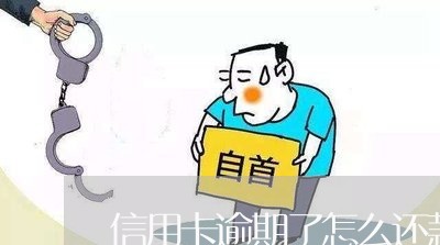 信用卡逾期了怎么还款最好/2023050297139