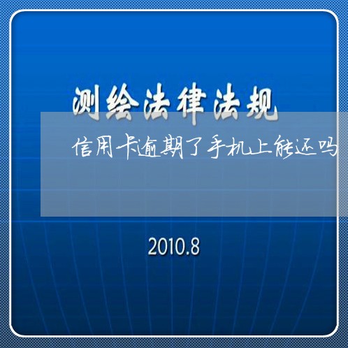 信用卡逾期了手机上能还吗/2023071494847