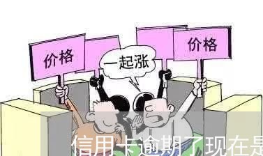 信用卡逾期了现在是多少/2023121782794