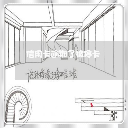 信用卡逾期了被停卡/2023112463816