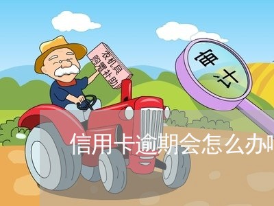 信用卡逾期会怎么办啊/2023121843717