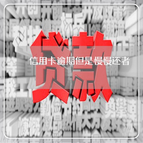 信用卡逾期但是慢慢还者/2023060170504