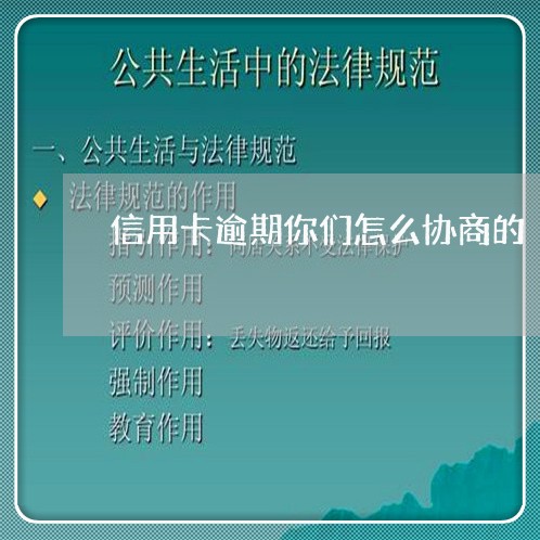 信用卡逾期你们怎么协商的/2023050337181