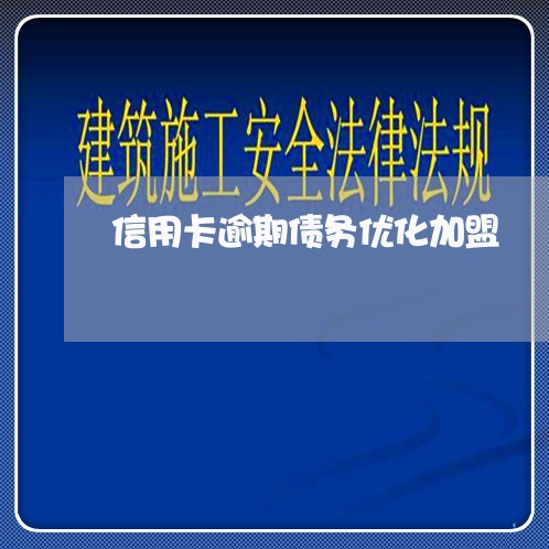 信用卡逾期债务优化加盟/2023112874824