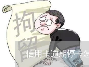 信用卡逾期停卡怎么看/2023081375948