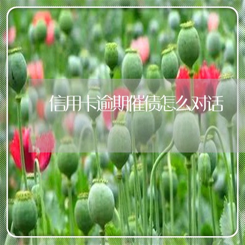 信用卡逾期催债怎么对话/2023112510573