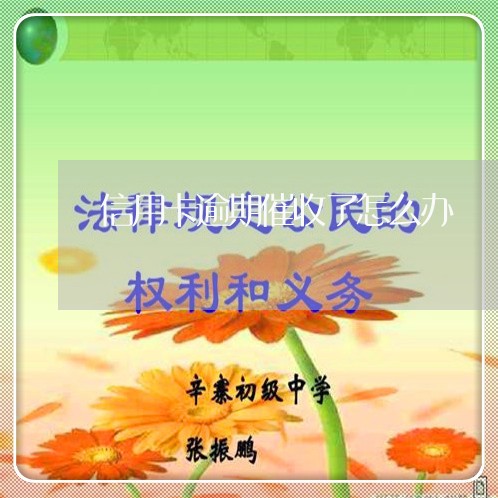 信用卡逾期催收了怎么办/2023070850392