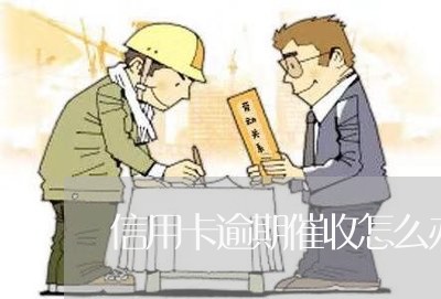 信用卡逾期催收怎么办理/2023111550613