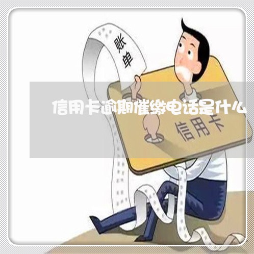 信用卡逾期催缴电话是什么/2023050282838