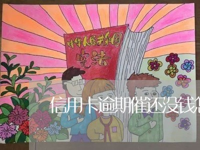 信用卡逾期催还没钱怎么办/2023051228260