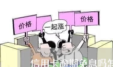 信用卡逾期免息吗怎么办/2023052404938