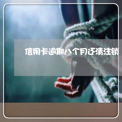 信用卡逾期八个月还清注销/2023062889361