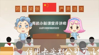 信用卡逾期公司可以贷款吗/2023100639693