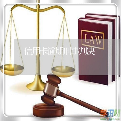 信用卡逾期刑事判决/2023112573605