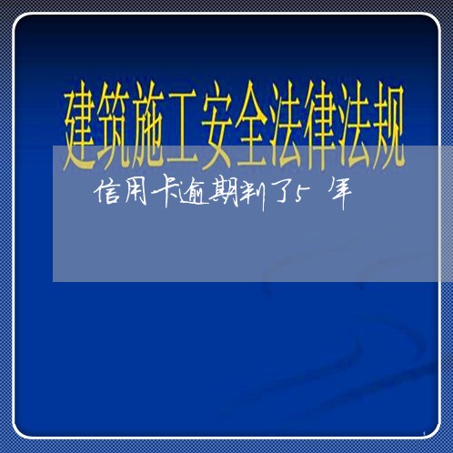 信用卡逾期判了5年/2023100650691