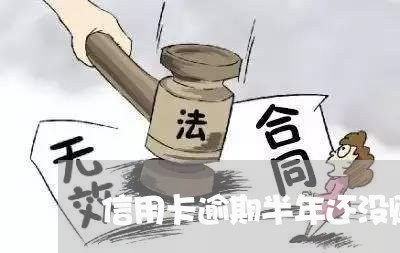 信用卡逾期半年还没账单/2023112567068