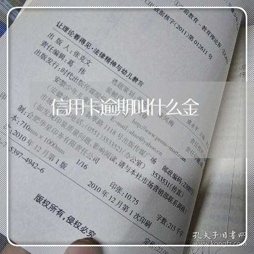 信用卡逾期叫什么金/2023112778494