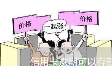 信用卡逾期可以存款吗/2023112640494