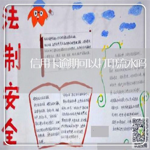 信用卡逾期可以打印流水吗/2023100966058