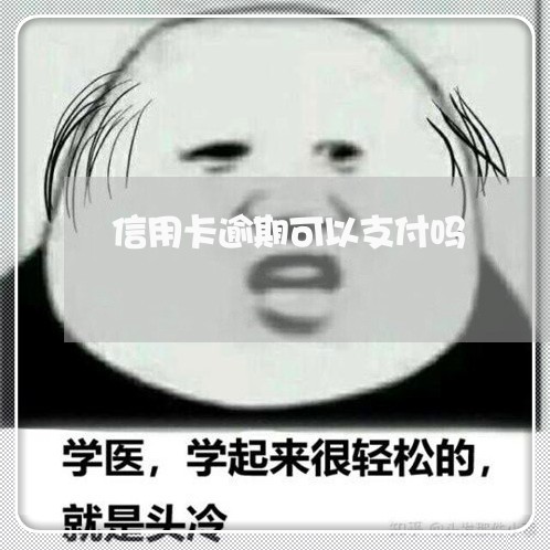 信用卡逾期可以支付吗/2023062137170