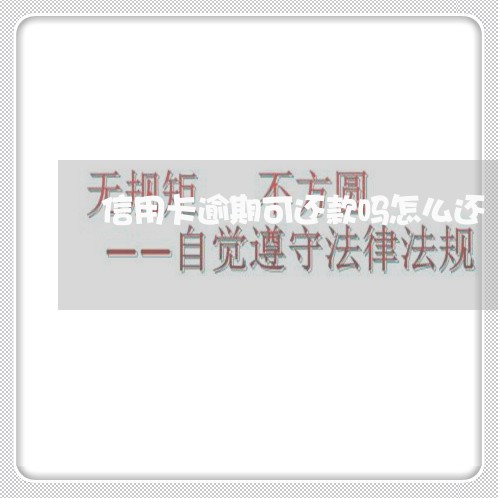 信用卡逾期可还款吗怎么还/2023111867261