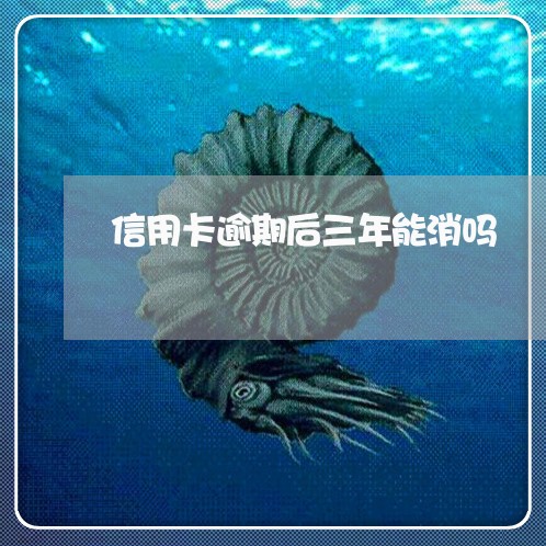 信用卡逾期后三年能消吗/2023062789414