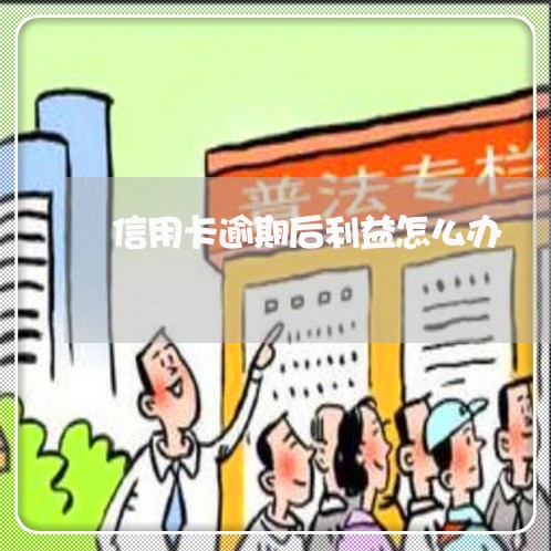 信用卡逾期后利益怎么办/2023121860826