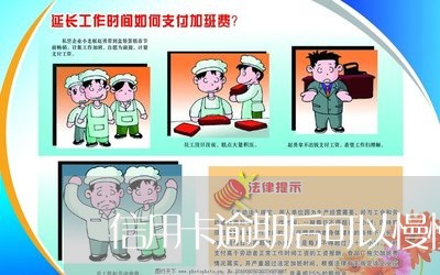 信用卡逾期后可以慢慢还吗/2023111893724