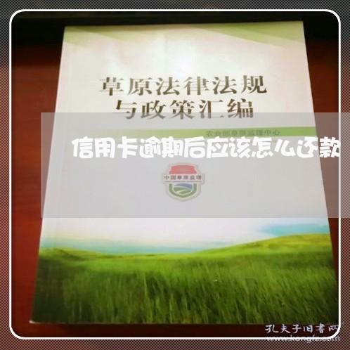 信用卡逾期后应该怎么还款/2023050174603