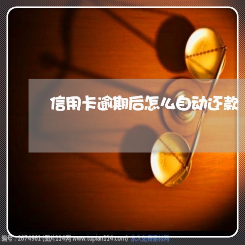 信用卡逾期后怎么自动还款/2023050362503