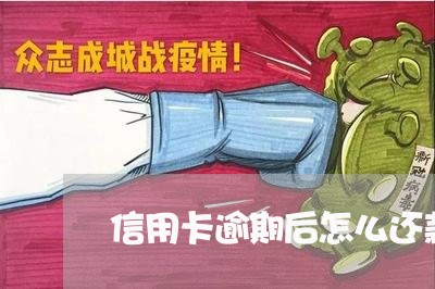 信用卡逾期后怎么还款最合理/2023091397369