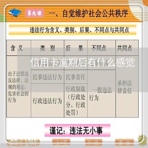 信用卡逾期后有什么感觉/2023112532683