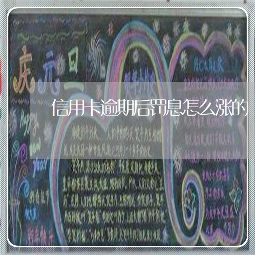 信用卡逾期后罚息怎么涨的/2023121889358