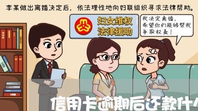 信用卡逾期后还款什么能用/2023050328262