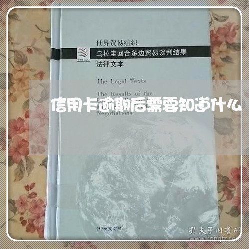 信用卡逾期后需要知道什么/2023050130593